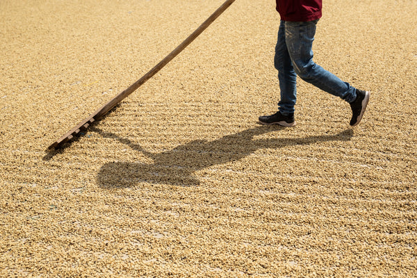 Duni Deca Decaf Colombia